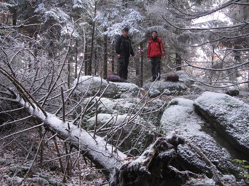 waldviertel